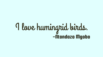 I love humingrid birds.