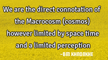 We are the direct connotation of the Macrocosm (cosmos) however limited by space time and a limited