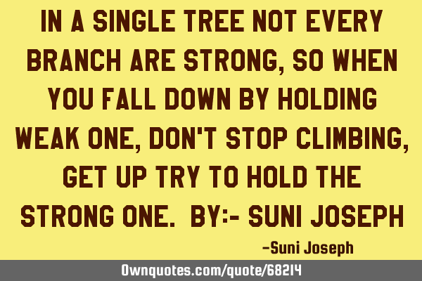 In A Single Tree Not Every Branch Are Strong, So When You Fall Down By Holding Weak One, Don