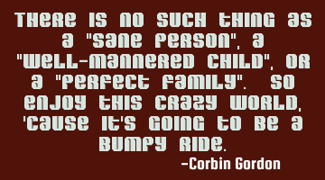There is no such thing as a "sane person", a "well-mannered child", or a "perfect family". So enjoy