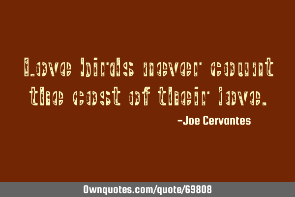 Love birds never count the cost of their