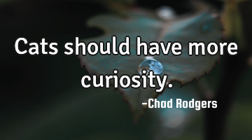 Cats should have more curiosity.
