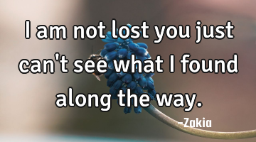 I am not lost you just can