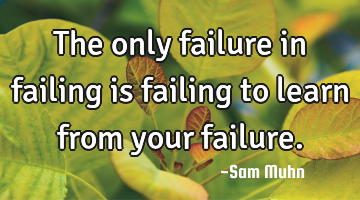 The only failure in failing is failing to learn from your failure.