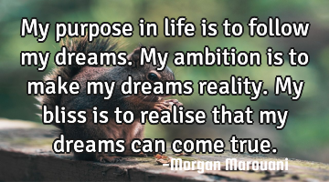 My purpose in life is to follow my dreams. My ambition is to make my dreams reality. My bliss is to