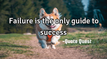 Failure is the only guide to success