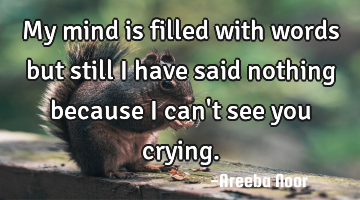 My mind is filled with words but still I have said nothing because I can