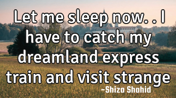 Let me sleep now.. i have to catch my dreamland express train and visit strange places..