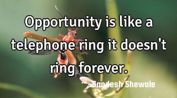 Opportunity is like a telephone ring it doesn