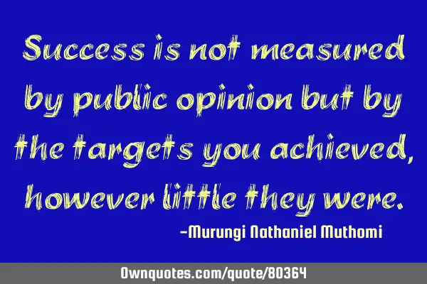 Success is not measured by public opinion but by the targets you achieved, however little they