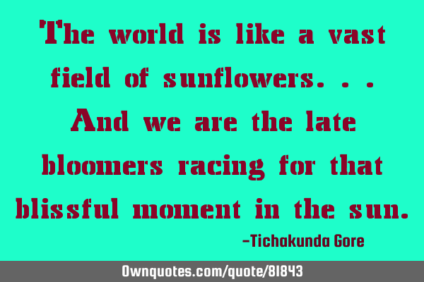 The world is like a vast field of sunflowers...and we are the late bloomers racing for that