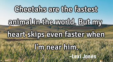 Cheetahs are the fastest animal in the world. But my heart skips even faster when I