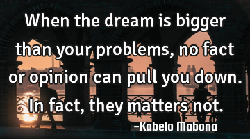 When the dream is bigger than your problems, no fact or opinion can pull you down. In fact, they