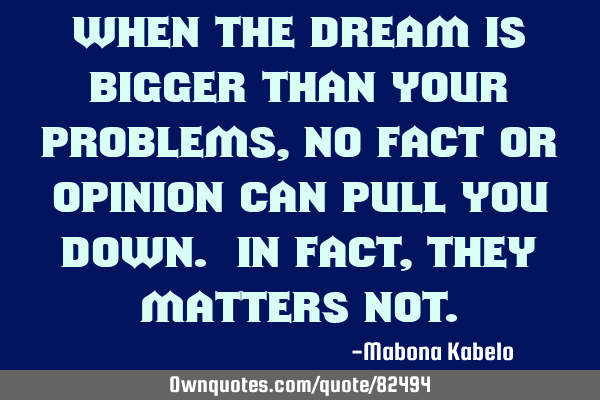When the dream is bigger than your problems, no fact or opinion can pull you down. In fact, they