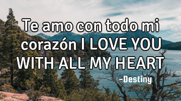 Te amo con todo mi corazón I LOVE YOU WITH ALL MY HEART