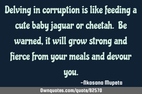 Delving in corruption is like feeding a cute baby jaguar or cheetah. Be warned, it will grow strong