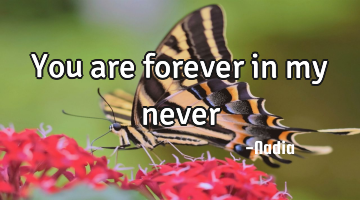 You are forever in my never