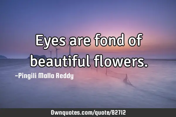 Eyes are fond of beautiful