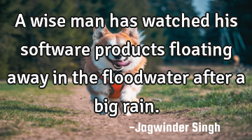 A wise man has watched his software products floating away in the floodwater after a big rain.