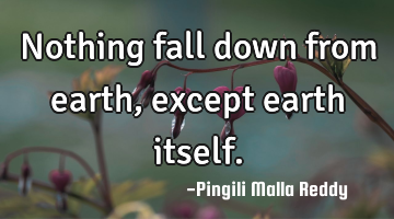 Nothing fall down from earth, except earth itself.