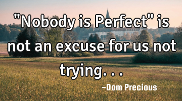 "Nobody is Perfect" is not an excuse for us not trying...