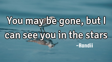 You may be gone, but I can see you in the stars