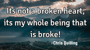 Its not a broken heart , its my whole being that is broke!