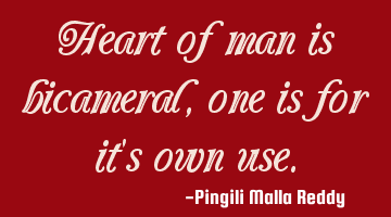 Heart of man is bicameral, one is for it