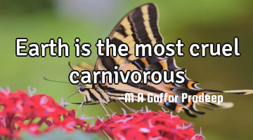 Earth is the most cruel carnivorous