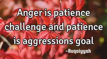 Anger is patience challenge and patience is aggressions goal