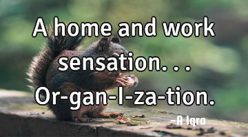 A home and work sensation...or-gan-I-za-tion.