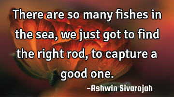 There are so many fishes in the sea, we just got to find the right rod, to capture a good one.