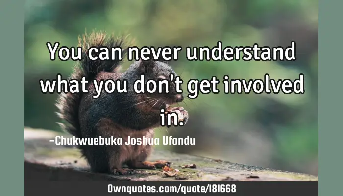 You Can Never Understand What You Don T Get Involved In Ownquotes Com