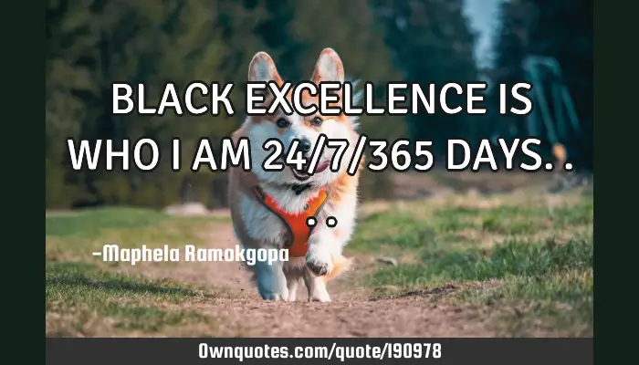 Black Excellence Is Who I Am 24 7 365 Days Ownquotes Com