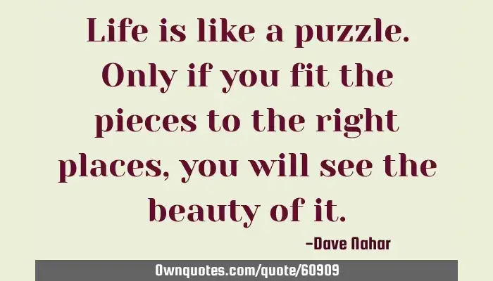 life is like a puzzle essay